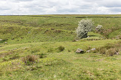 The Western side of the Trefil Tramroad around Cwm Milgatw, June 2019