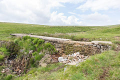 Engine Pond above Trefil tramroad, Cwm Milgatw, June 2014