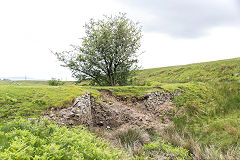 
The Western side of the Trefil Tramroad around Cwm Milgatw, June 2014