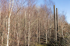 
Bedwas Colliery, January 2016