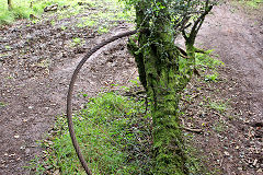 
The aerial ropeway cable from Cefn-Onn Quarry, September 2013