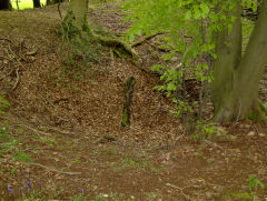 
Coed Cefn Onn leadmine shaft, Rudry, May 2009