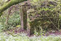 
Coedcae Garw Farm, Rudry, June 2016