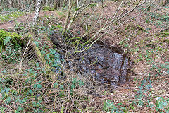 Copi Gwynthi shaft, March 2019