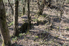 Garth Rudry engine base, February 2019