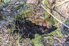 Garth Rudry Brick Kiln, February 2019