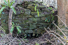 Garth Rudry Brick Kiln, February 2019