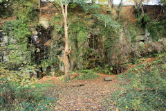 
Gelli-wasted Quarry (ST 1971 8892) was a small quarry beside the BMR and its predecessor, the Rumney Railway, marked as 'old' in 1875 but not in 1901, 'old' again in 1920, October 2010