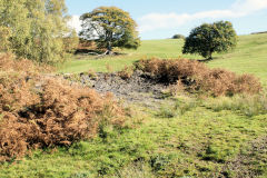 
Mynydd-y-bwlch levels, October 2010