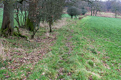 
Mynydd-y-bwlch tramroad, January 2019