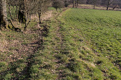 
Mynydd-y-bwlch tramroad, February 2019