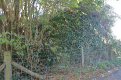 Pentwyn Colliery bridge abutments, October 2010