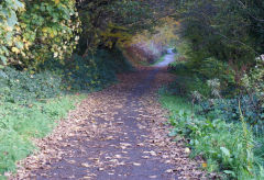 
Rising Sun upper bridge at ST 1945 8874, Bedwas, October 2010