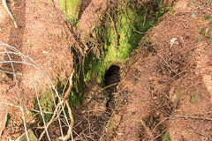 Cwrt-y-Llaca shaft, March 2015