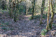 
Rudry Merthyr Colliery tramway to the brickworks, February 2019