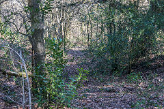 
Rudry Merthyr Colliery tramway to the brickworks, February 2019