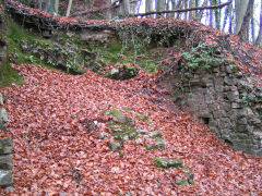 Craig-y-llan lime kins, Rudry, November 2008
