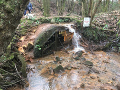 
Rudry tramway drainage level, 2019, © Photo courtesy of Dave Chetwynd