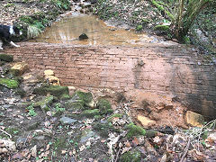 
Rudry tramway drainage level, 2019, © Photo courtesy of Dave Chetwynd