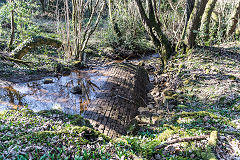 Rudry tramway drainage level, February 2019
