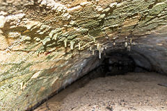 Rudry tramway drainage level interior, February 2019