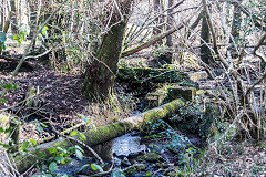 Rudry Colliery tramway pipeline running from a weir by the footbridge towards Waterloo, February 2019