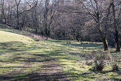 
The tramway trackbed at the footbridge looking South towards the brickworks, February 2019