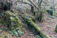 Rudry tramway, behind the magazine, March 2019