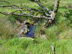 
Shaft on Rudry Common, May 2009