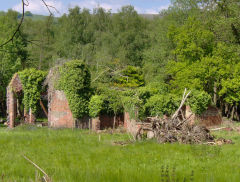 Waterloo Tinplate works buildings, May 2009