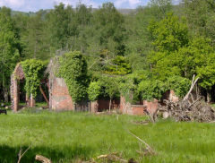 
Waterloo Tinplate works buildings, May 2009