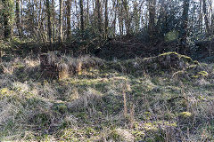 Waterloo Tinplate Works, February 2019