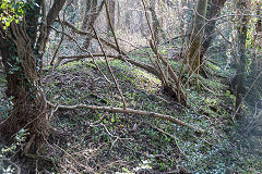 
Waterloo Tinplate Works sidings trackbed, February 2019