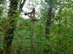 
Bovil Colliery Sidings, Machen, a lamp post that now lights nothing, October 2012