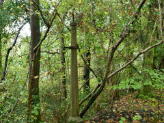 Bovil Colliery Sidings, Machen, a lamp post that now lights nothing, October 2012