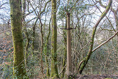 
Bovil Colliery Sidings, Machen, a lamp post that now lights nothing, April 2016