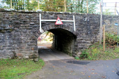 
A 7' 3 high stone-built bridge under the BMR provided the access to Bovil Farm, Sun Vein Level and other properties. No double-decker buses in those days. Duck! Machen, October 2010