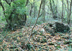 Twyn-Sych ruins, Cefn Coed Pwll Du Colliery loading bank, Machen, October 2010