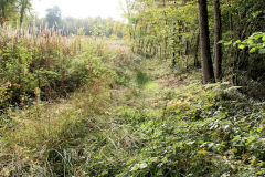 
Route of Cefn Coed Pwll Du Colliery tramway, Machen, October 2010