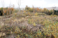 
Cefn Coed Pwll Du Colliery upper spoil tips, Machen, October 2010