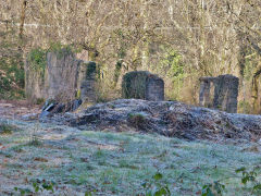 Coedcae Cottage ruins, Machen, February 2013