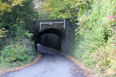 Dranllwyd Lane lower bridge, Machen, October 2010
