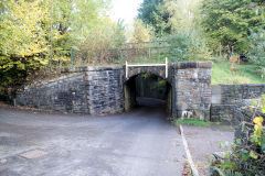 
Dranllwyd Lane upper bridge, Machen, October 2010