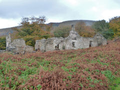 
Ffwrwm farmhouse, Machen, October 2010