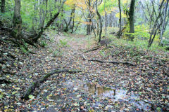 
Machen Forge branchline towards Old Pit Colliery, November 2010