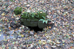 
Machen Forge, drain inlet by branchline, November 2010