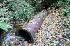 
Forge tramroad, Cae-bach culvert pipe, Machen, October 2010