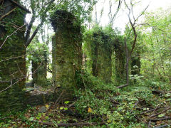 The slumbering walls of the loco works, Machen, October 2012