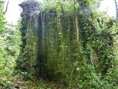 The slumbering walls of the loco works, Machen, October 2012