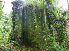 
The slumbering walls of the loco works, Machen, October 2012